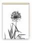 Preview: Rollo Allium 24 blanco schwarz, Rollo, Motivrollo, Rollo mit Druck, Fotorollo, bedrucktes Rollo, Fensterrollo,verdunkelndes Rollo, Sonnenschutz Rollo